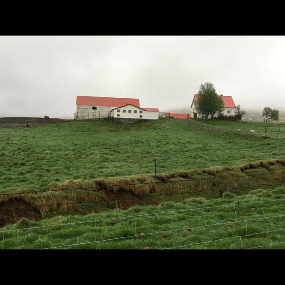 Meet your Posher, Davika - Picture 1 of 1